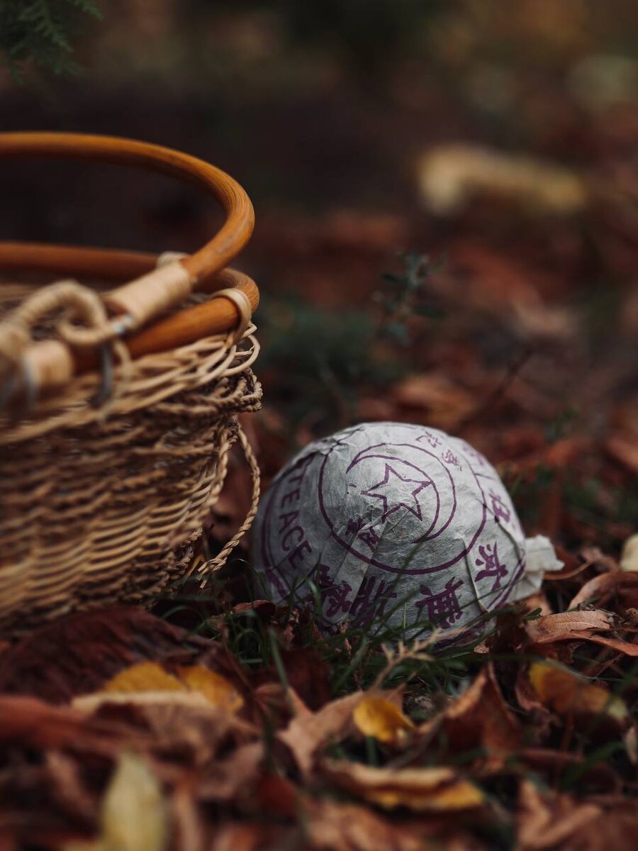 Грибной сезон: особенно ценный Шен Пуэр Мо Гу То в твоем лукошке