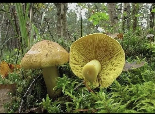 ������� ����������� � �����: �� ������ �����, �� � ������ ������