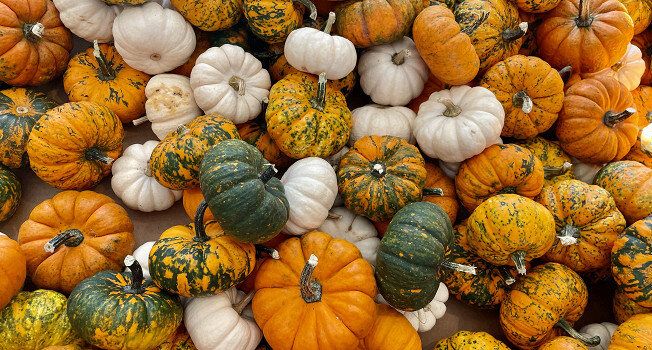 ��� ��������� ������� ����� ��� ������� ����