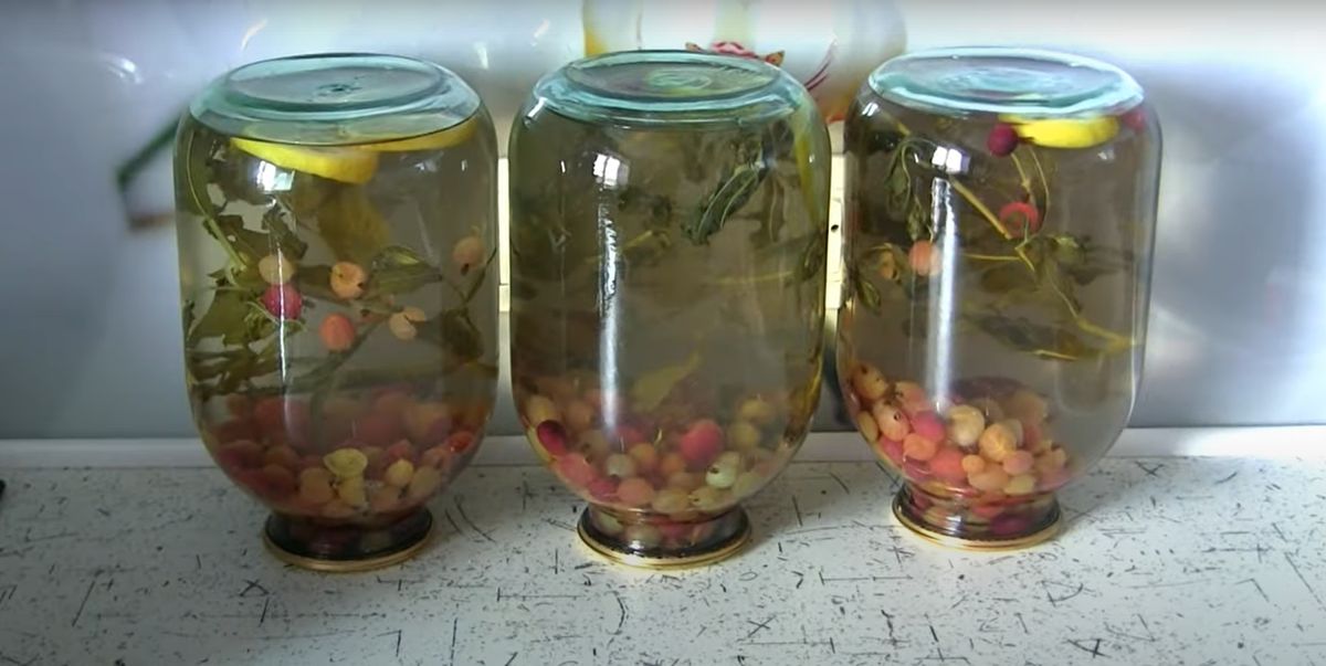 Крыжовниковый компот: зимний освежитель с мятой и лимоном