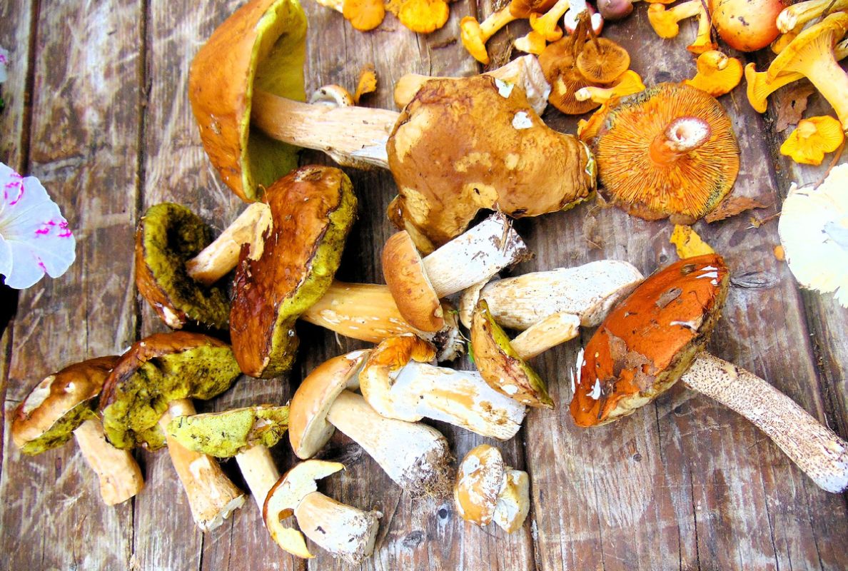 ��� ����� � ���� ������� � ����������� �������