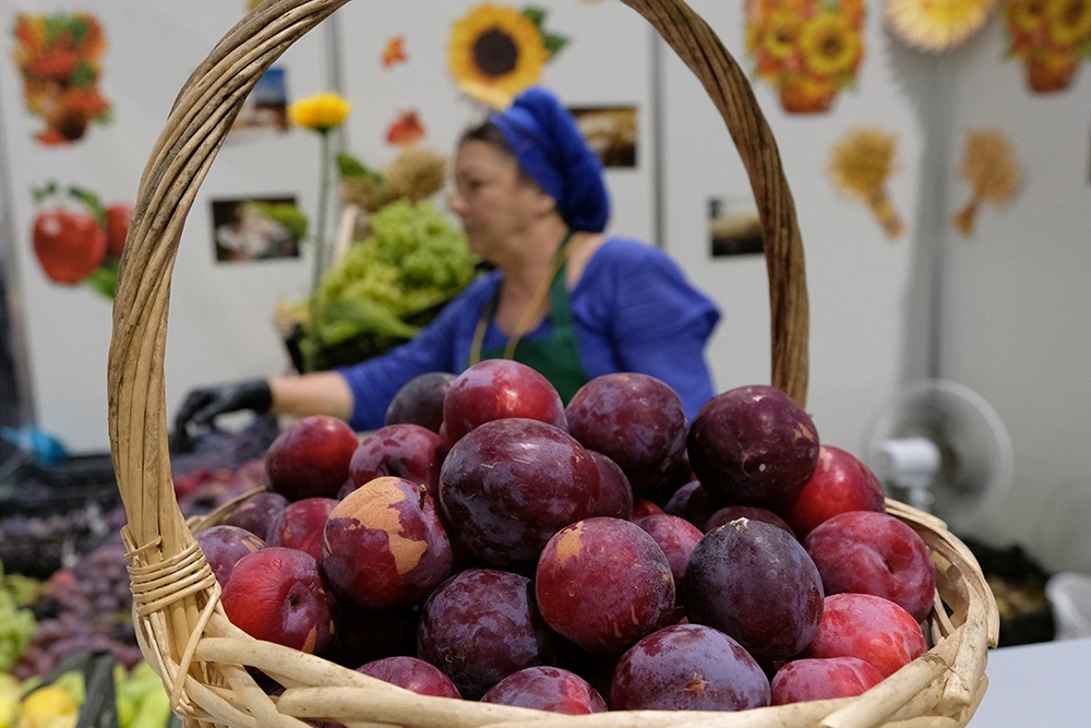 Как изменилась продуктовая корзина жителей Северного Кавказа за последние годы