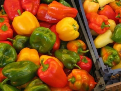 ��� �� ������� ����������� ��������� �������� ��� �����