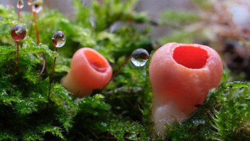 ������� ����: �������� ���� ����� ������ ������