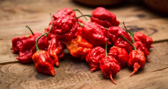 Pepper X: �����, ������� ������� ���� ����� ��������