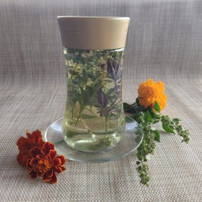 ��� ����������� ��������� ������������ ����� � ���������