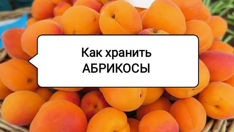 ��� ��������� �������� ������� � ��������: ������� ��������