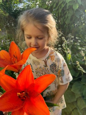 ��������� ��������� � �������: ���� ������� �� ����� �����