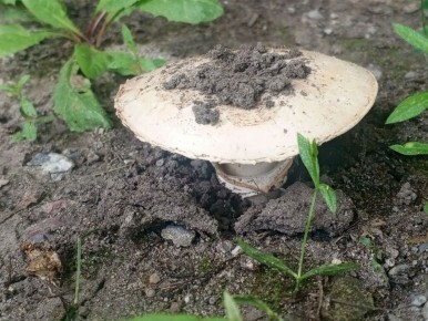 ���� ������ ��� ���������: ��� ������� ��������� ����� �������