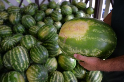 �������� ������� � ������ ��������� ����� ����� ������