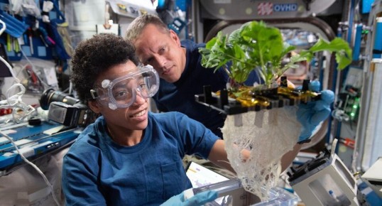 ������������ ���������� ��������� ��� ���� ������� ���������� �������� �� ���