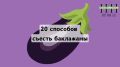 Как баклажаны могут изменить ваше меню: 20 удивительных идей