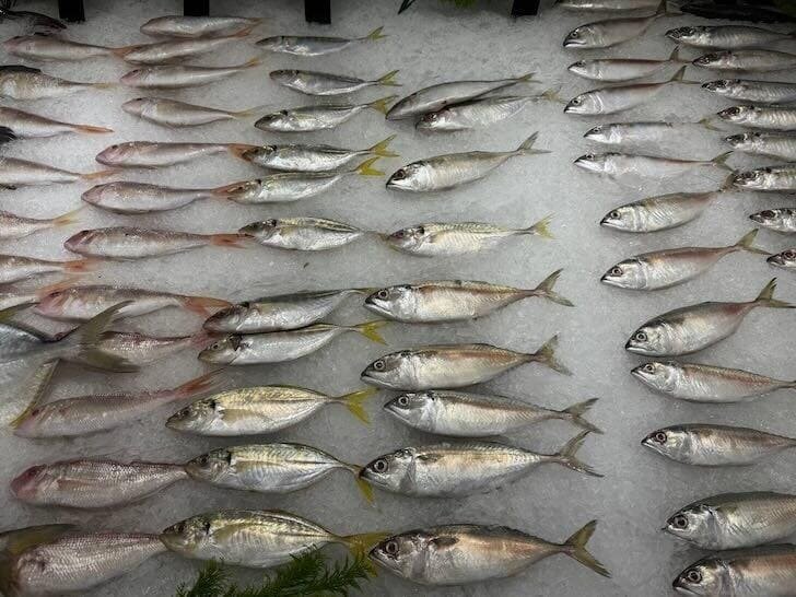 Скумбрия: доступная альтернатива сёмге с полезными свойствами