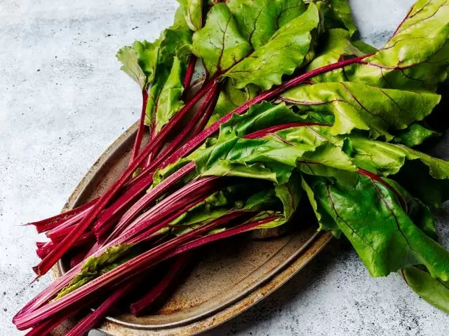 Секреты свекольной ботвы: как извлечь максимум из полезной зелени с вашего огорода