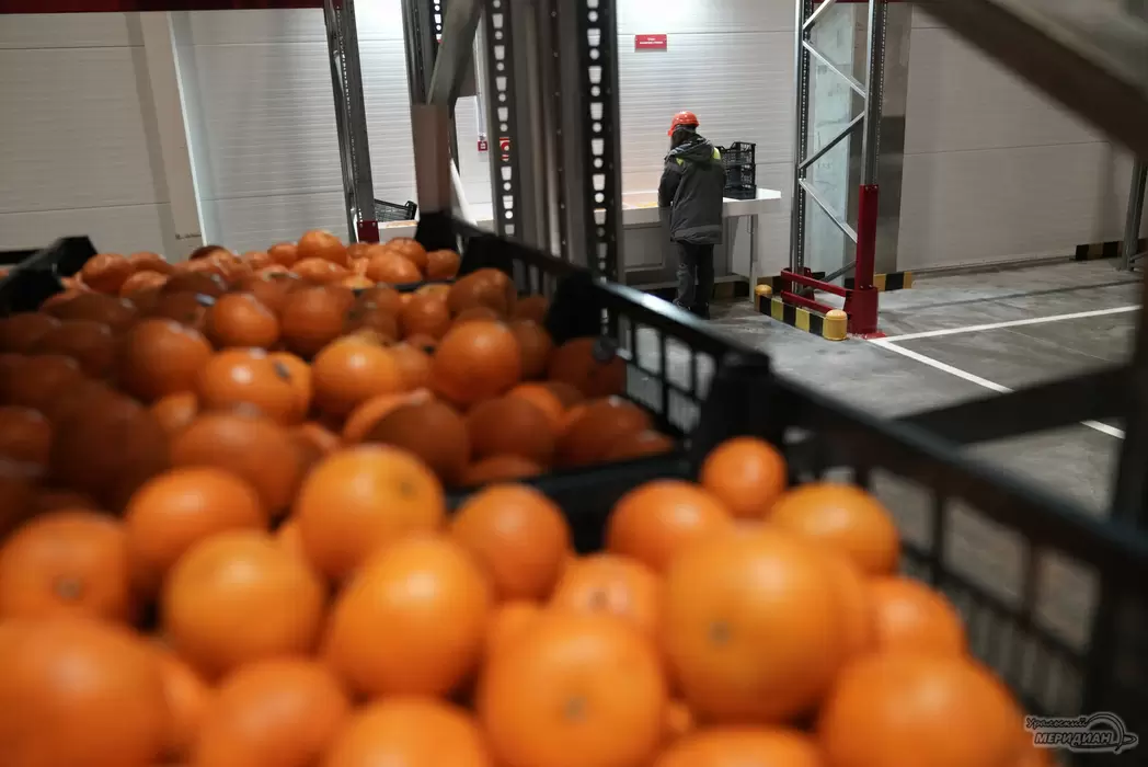На Урале поступила крупная партия лука из Казахстана и мандаринов из Китая