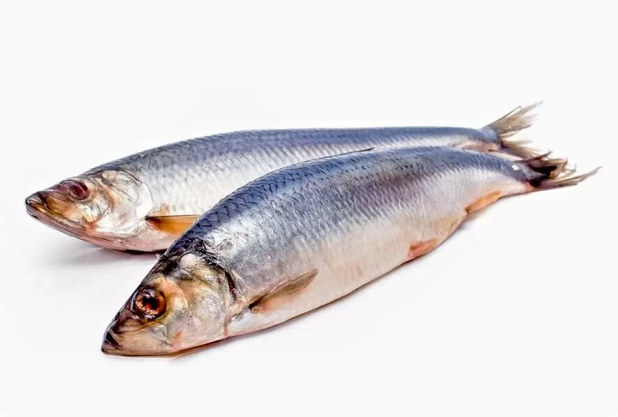 Необычные секреты приготовления малосольной сельди: от классики до финской заливки