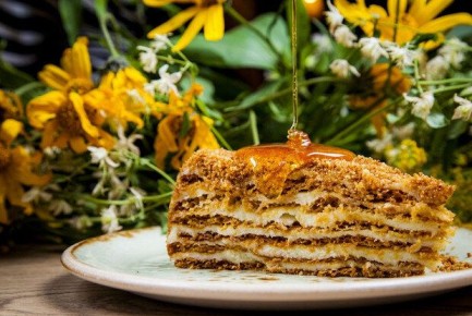 ������ ������� �� �������� ����� � ������ �� ��������