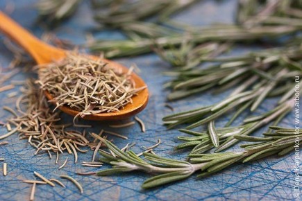 ��������: ������������ ����� � ������������ ��������