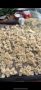 ����� �� 20 �����: ������� � ������� ������