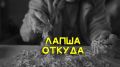 Зачем на Руси избегали лапши, если мука была в избытке?